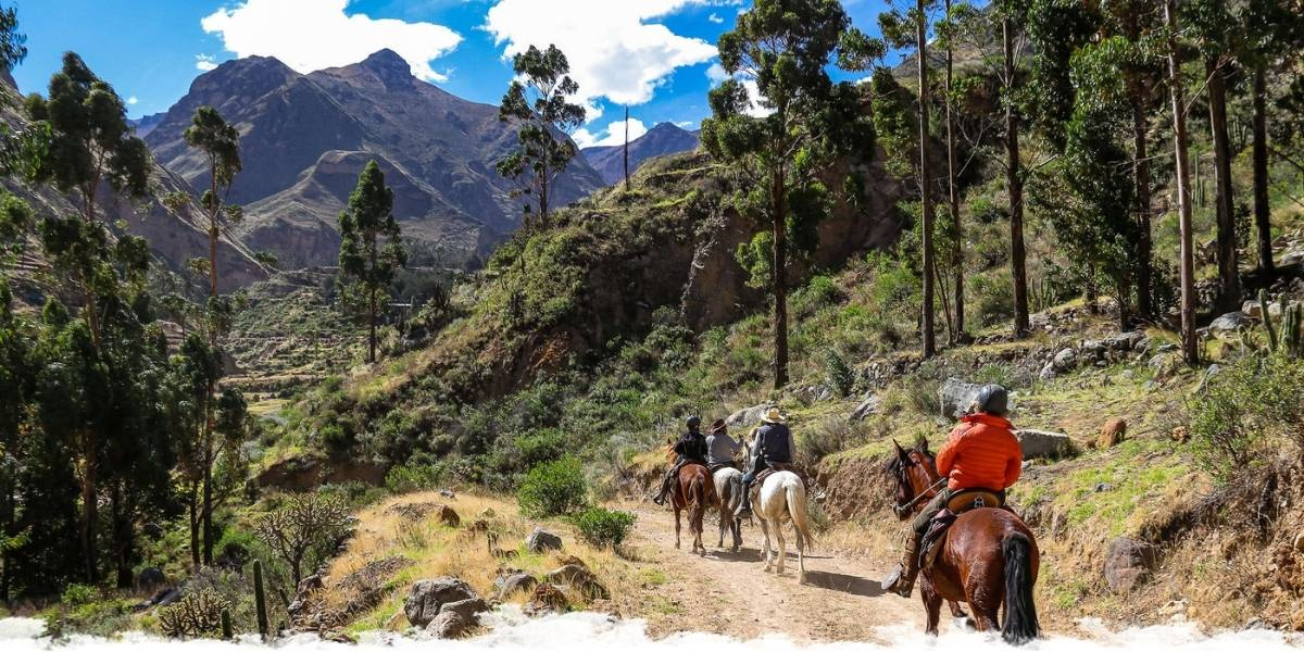 5 Exciting Equestrian Escapes To Take This Winter