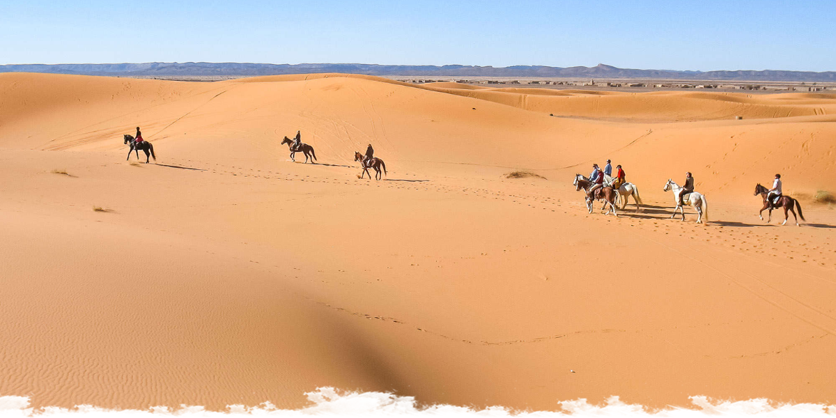 Tales of the Sahara - Desert Cavalcade