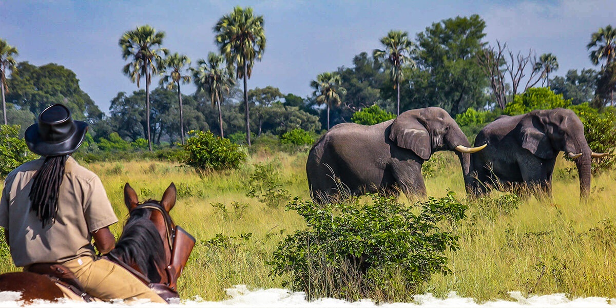 Getting ready for an African horse safari!