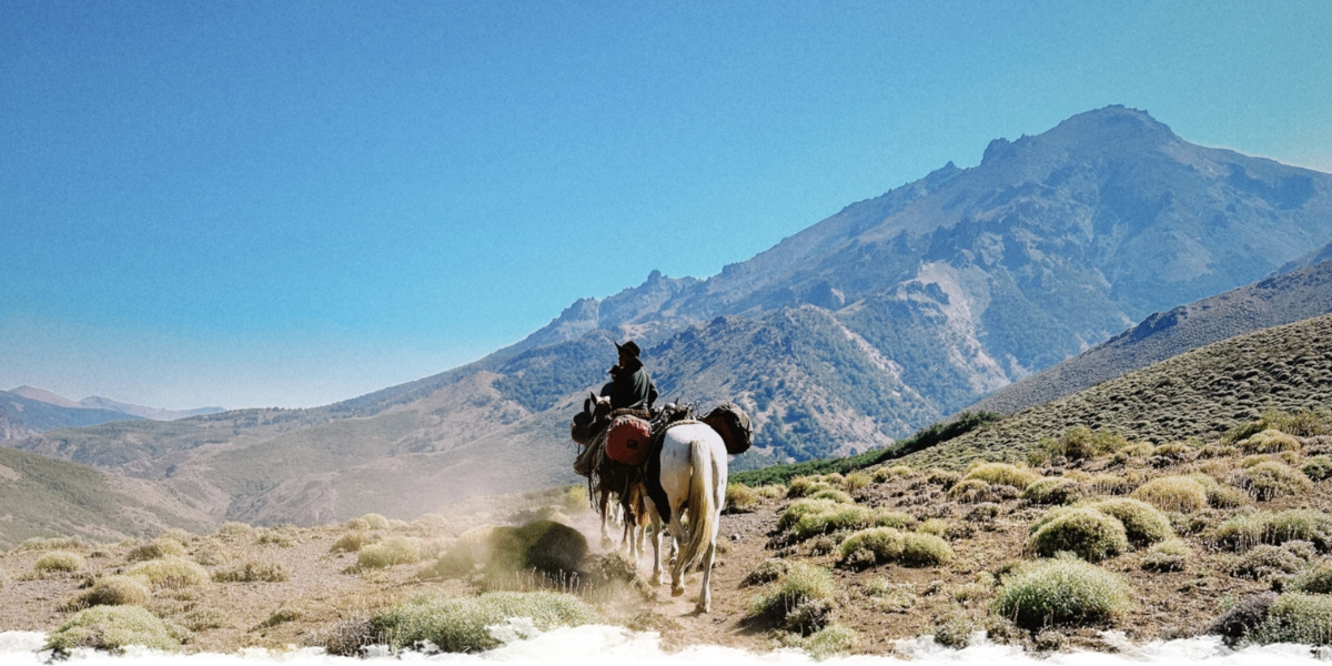 Wild Patagonia – The Adventure of a Lifetime!