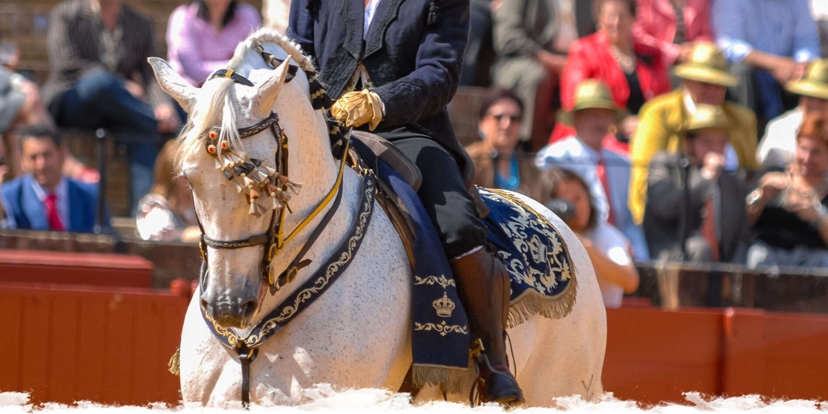 The Jerez Horse Fair