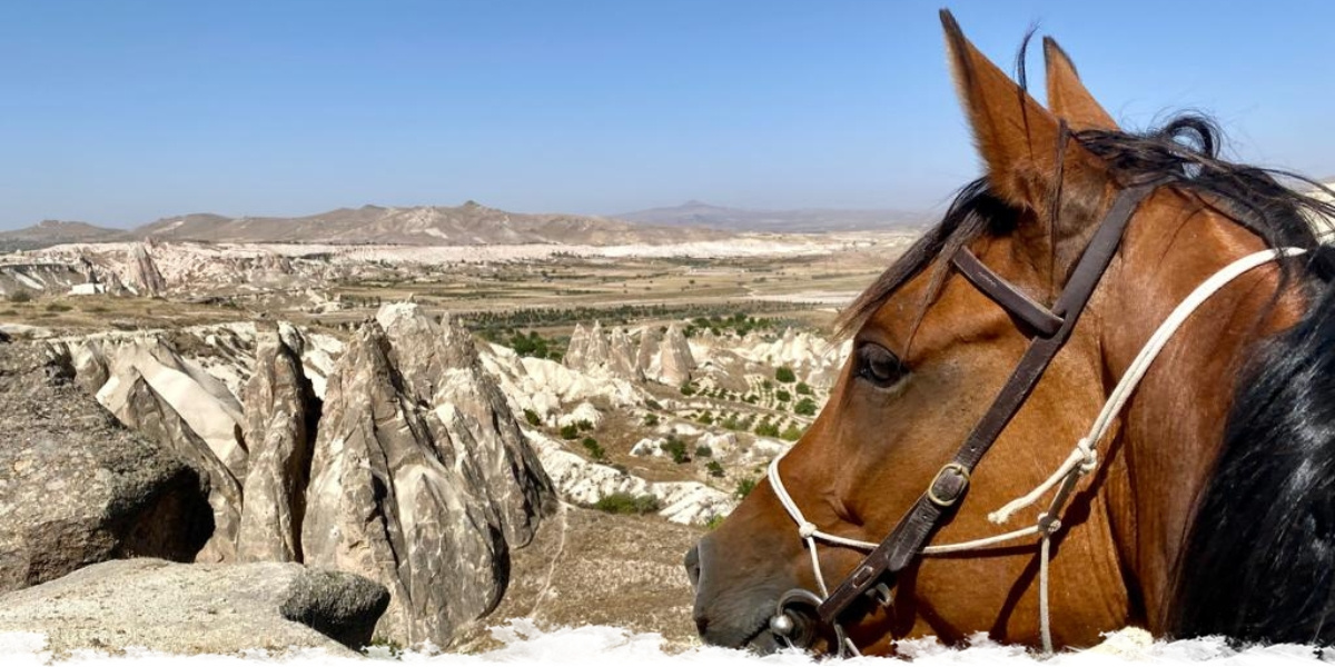 Cantering in Cappadocia - "Land of the Beautiful Horses"