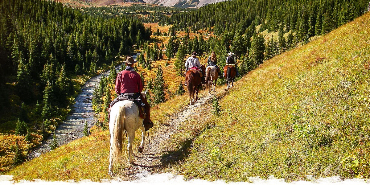 Post-isolation horseback adventures...