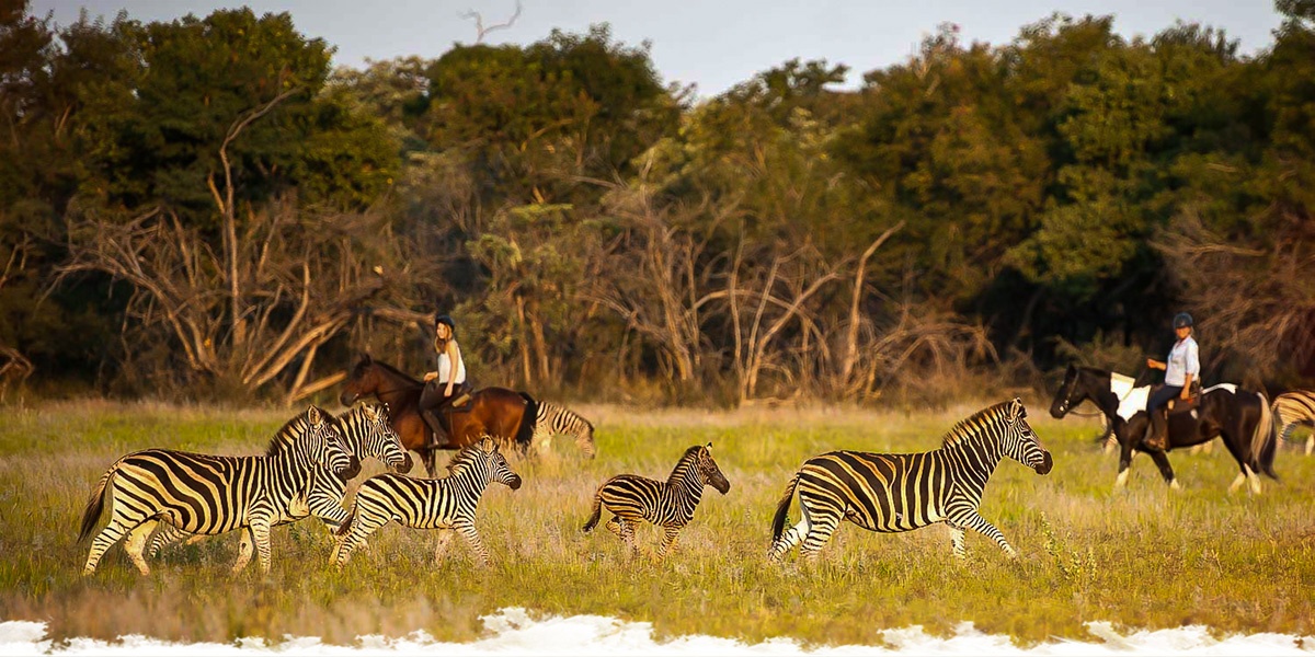 Ride report: African Explorer safari