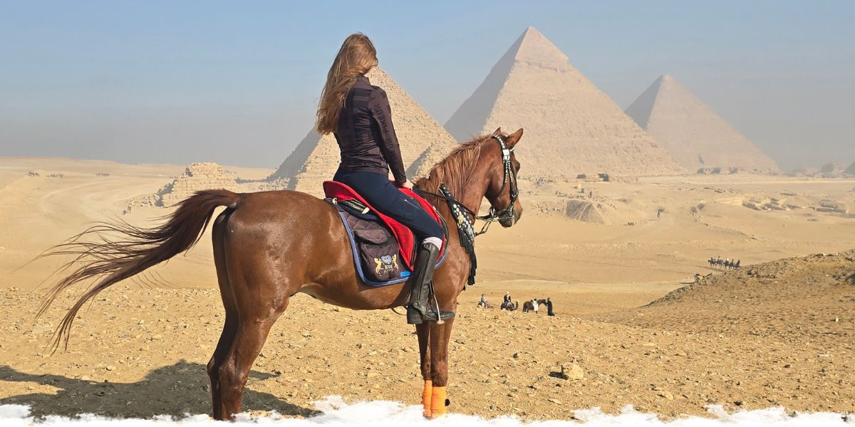 Super Stallions & Perfect Pyramids:  An Egyptian Adventure