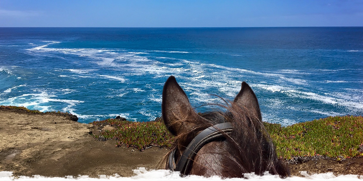 Horse Riding Trail on the Blue Island