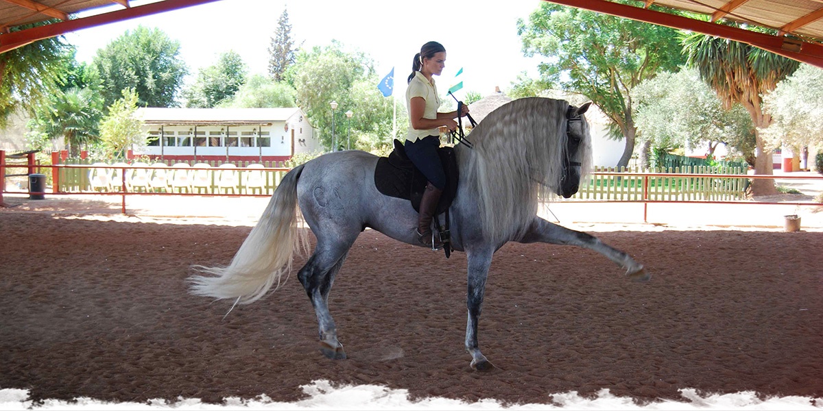 A week at Epona Equestrian Centre