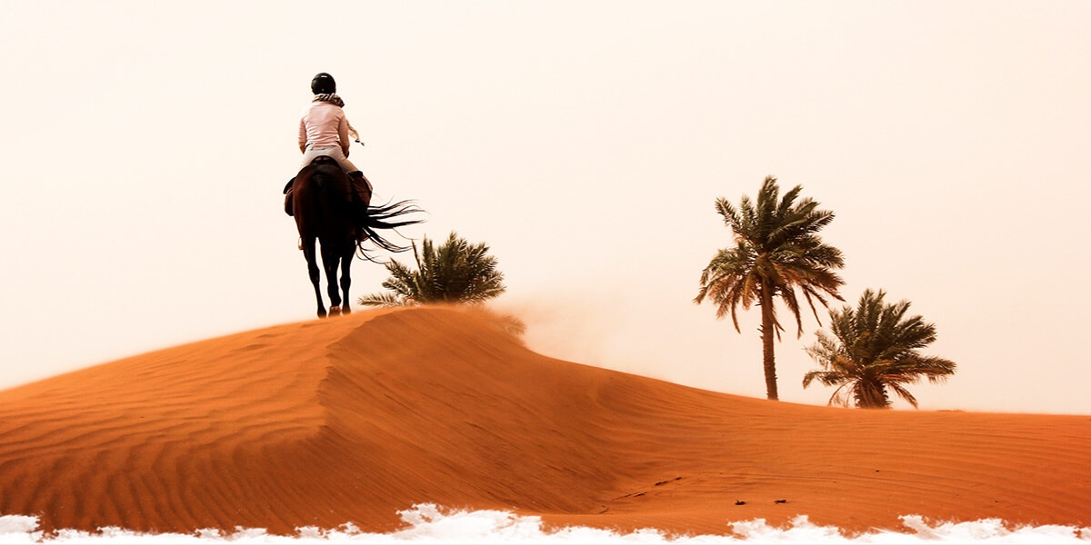 Morocco: Horses,  Dunes and Nomads