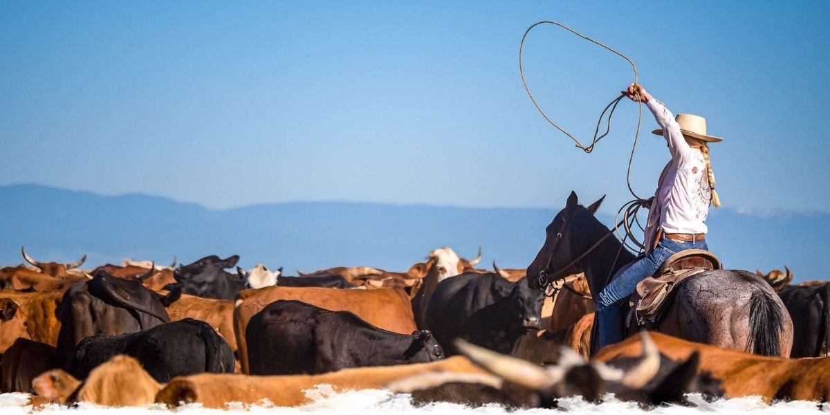 Choosing the right ranch holiday: Guest ranch or working ranch?