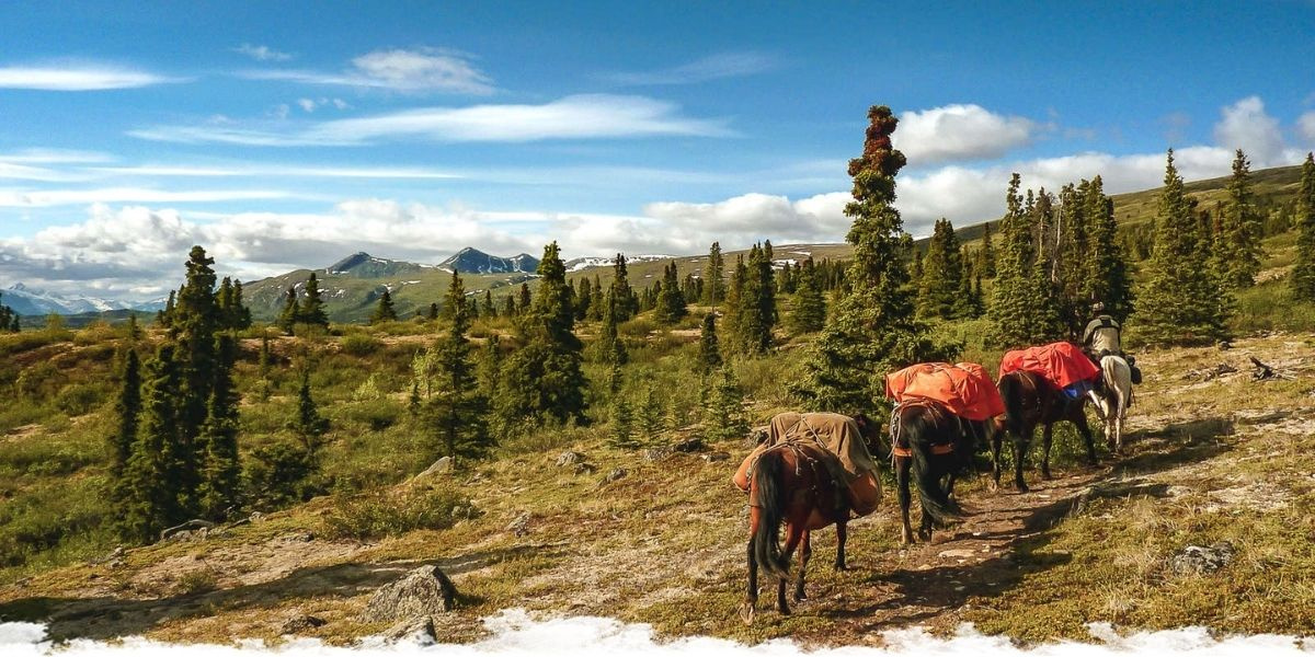 Our Ultimate Guide to Camping Trails & Riding Expeditions