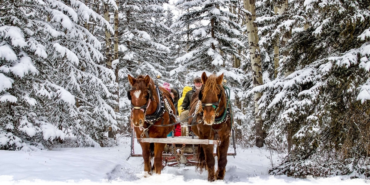 Winter Equestrian Traditions Around the World