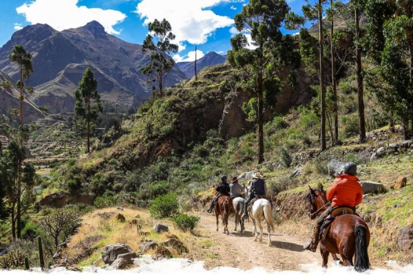 5 Exciting Equestrian Escapes To Take This Winter