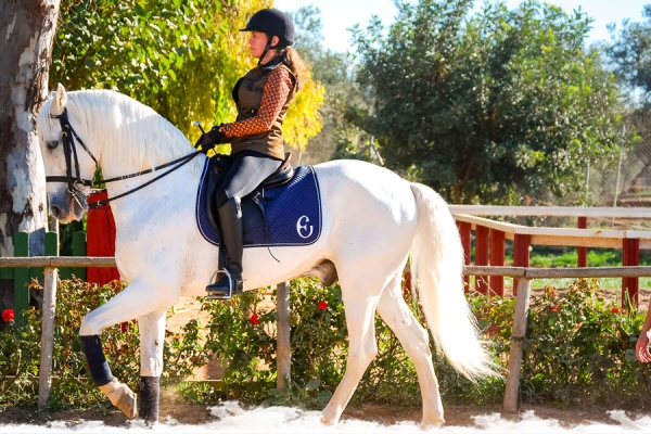 Choosing the right dressage holiday