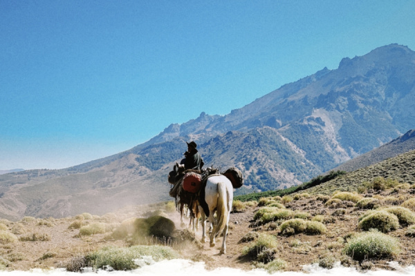 Wild Patagonia – The Adventure of a Lifetime!