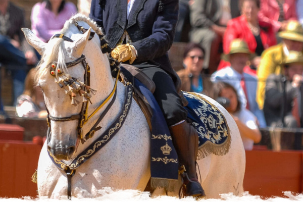 The Jerez Horse Fair