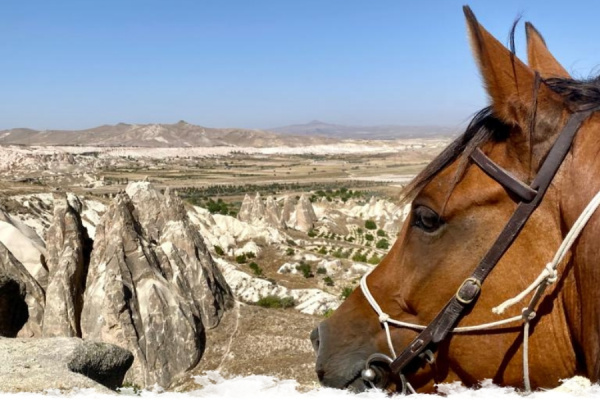 Cantering in Cappadocia - "Land of the Beautiful Horses"