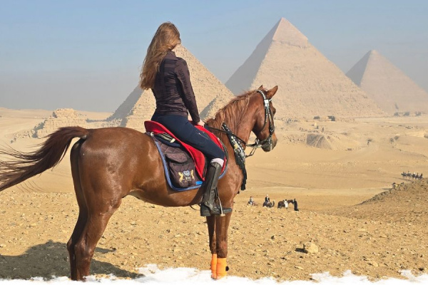 Super Stallions & Perfect Pyramids:  An Egyptian Adventure