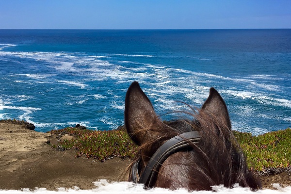 Horse Riding Trail on the Blue Island