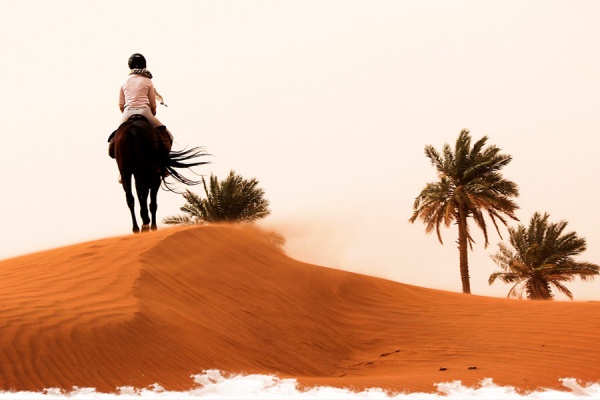 Morocco: Horses,  Dunes and Nomads