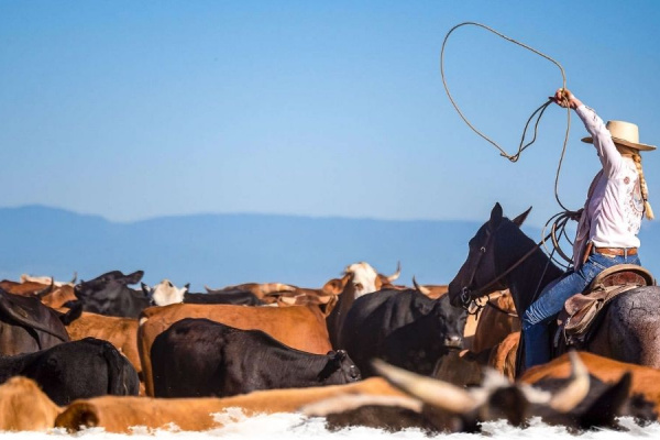 Choosing the right ranch holiday: Guest ranch or working ranch?