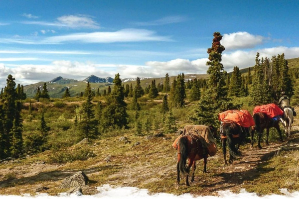 Our Ultimate Guide to Camping Trails & Riding Expeditions
