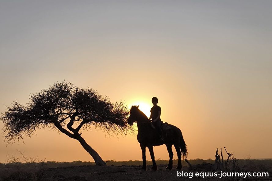 African Explorer safari by Rachel