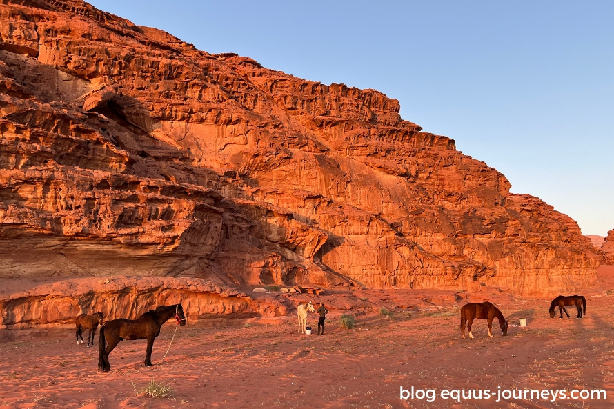 Julia's adventures in the Wadi Rum