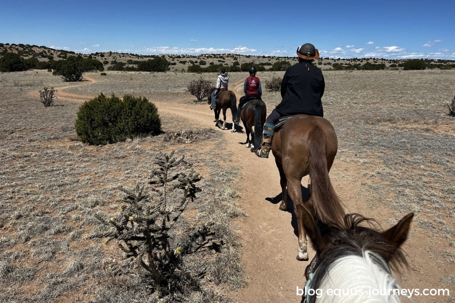 Heloise's adventures in New Mexico