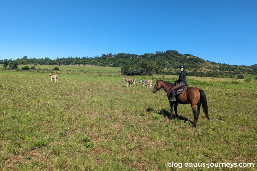 Francisca's adventures is Eswatini