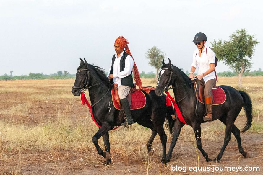 Riders riding the Marwari horses