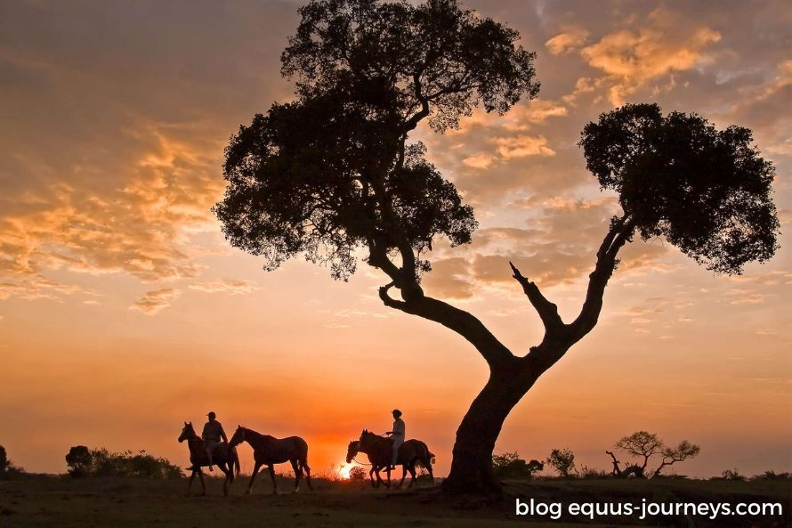 Group of riders enjoying an African sunset