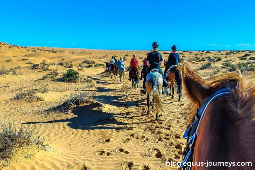 Group of riders riding in the Grand Erg Orientalin, Tunisia