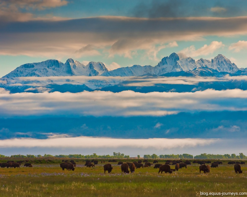 The spectacular scenery at Zapata Ranch