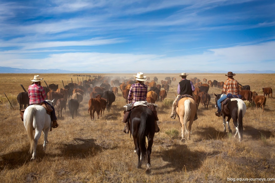 Life at Zapata