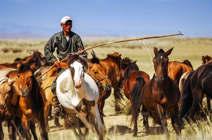 A horseback vacation opens the mind to new experiences
