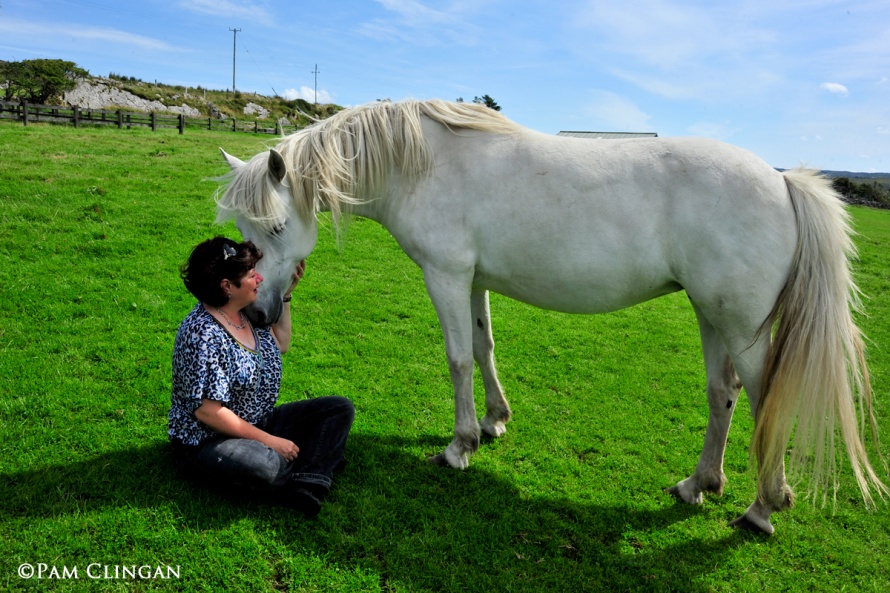 Lemonfield Lass at Malachy Gorham’s Kingstown Connemaras ©Pam Clingan 2012