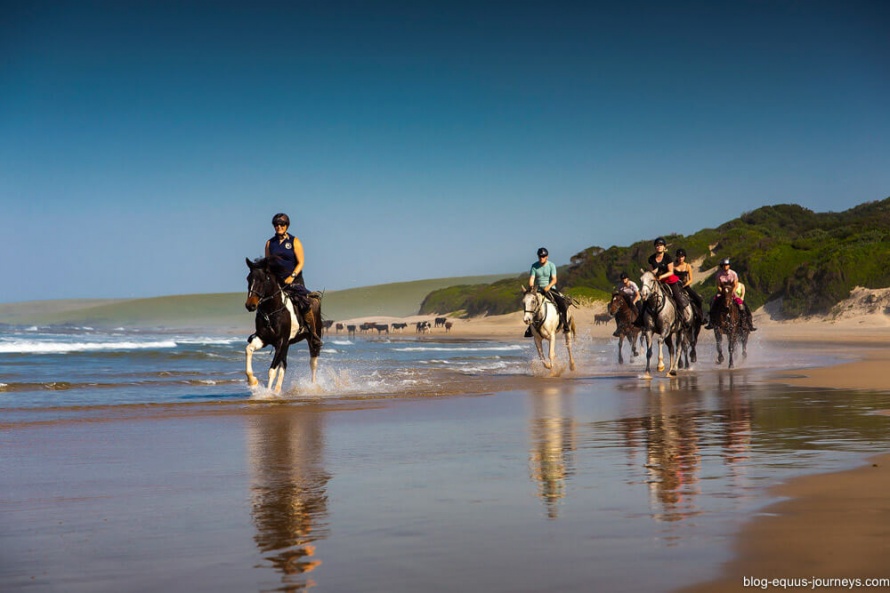 Wild Coast riding holidays and trail rides in South Africa