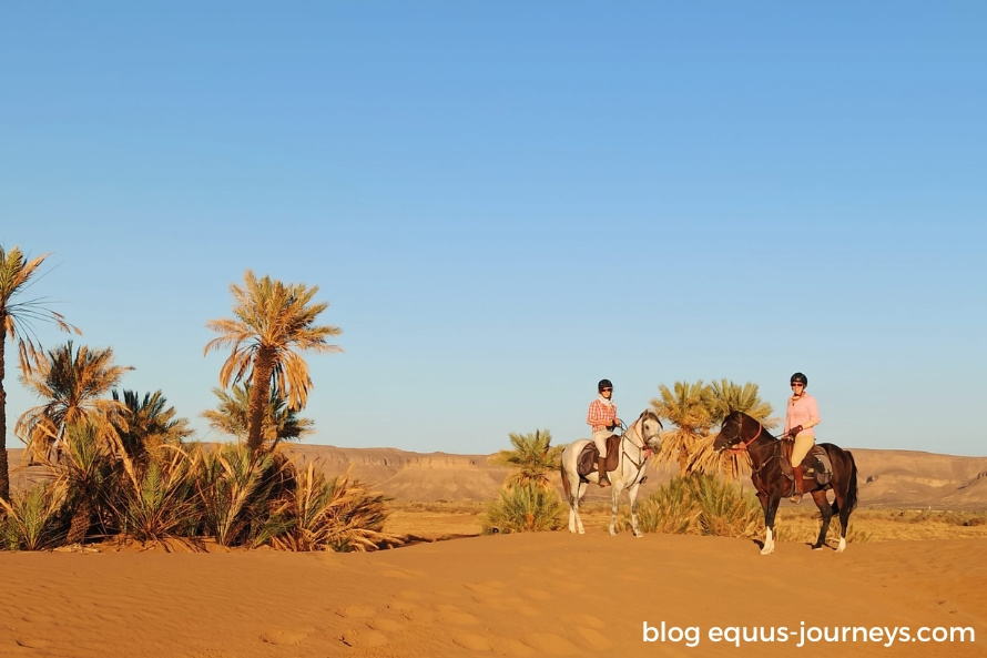 Riders in the sand dunes