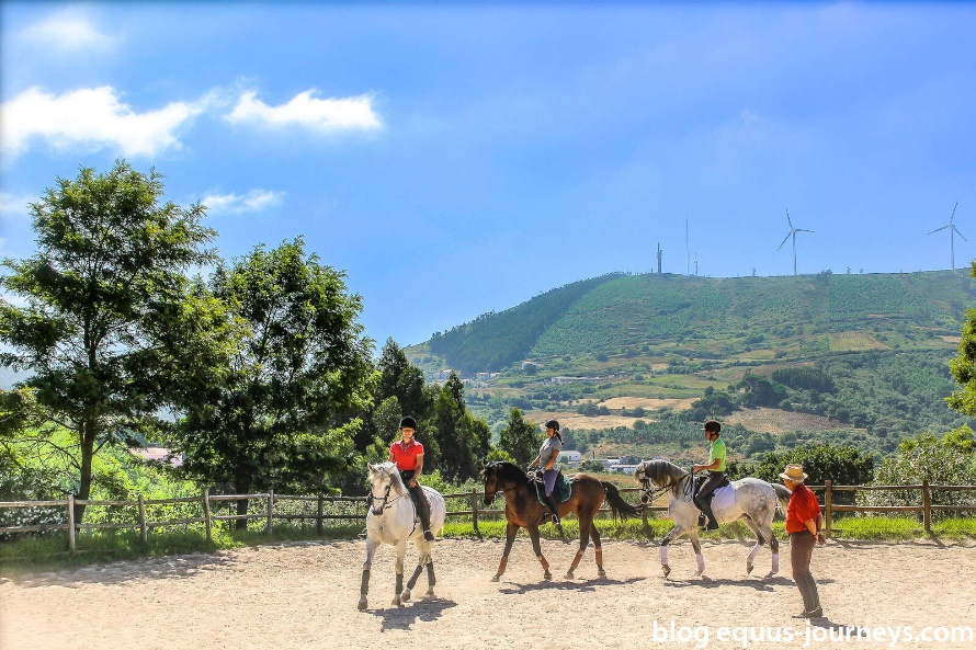 Dressage class in Portugal