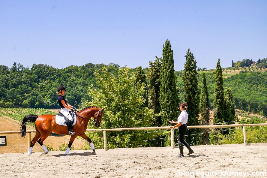 Dressage classe in Italy