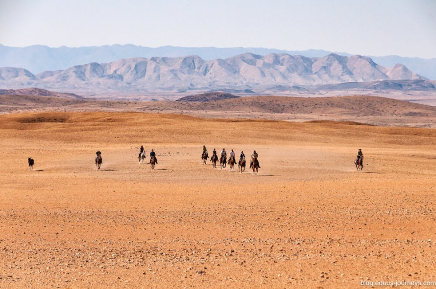 Gallops across the Namib Desert, in Namibia