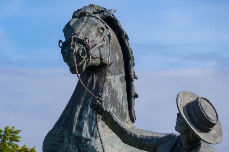 Discover the Lusitano culture at Golega (c) Equus Journeys