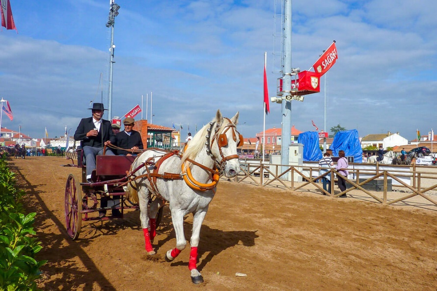 Golega Fair, Portugal (c) Equus Journeys