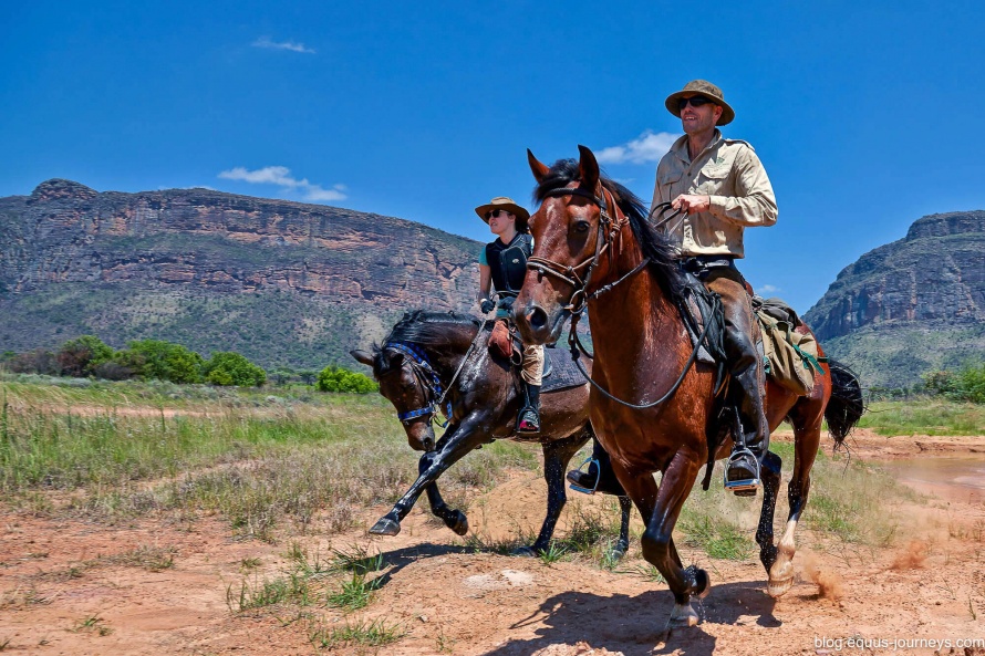 Our Big Five horse safari in South Africa is an adventurous mobile safari
