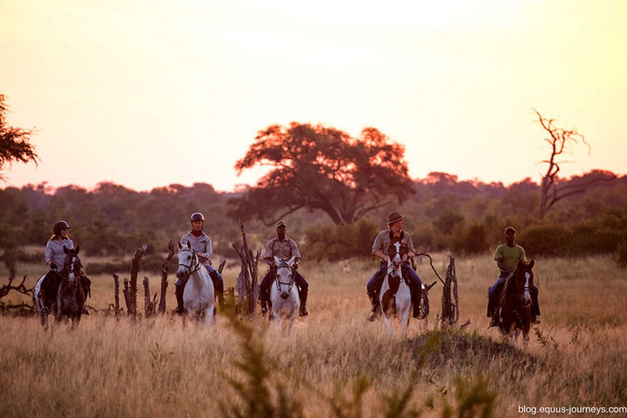 Sunset ride in Hwange National Park, Zimbabwe