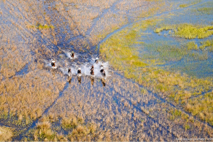 Riding safari in the Okavango Delta in Botswana