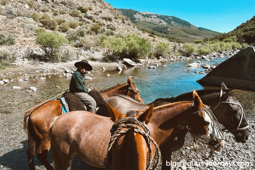 The team and horses enjoying a short break - captured by Anna Ascari