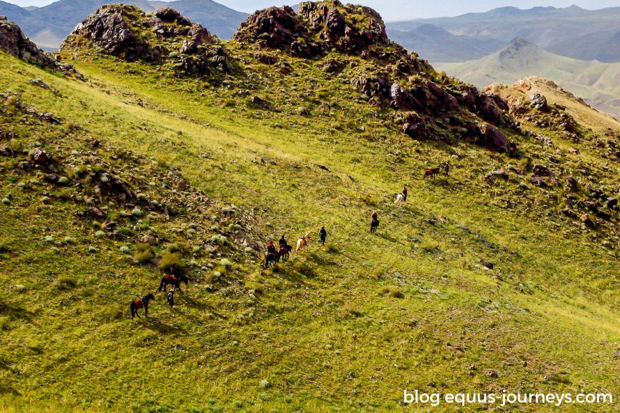 Riders in the Orkhon Trail