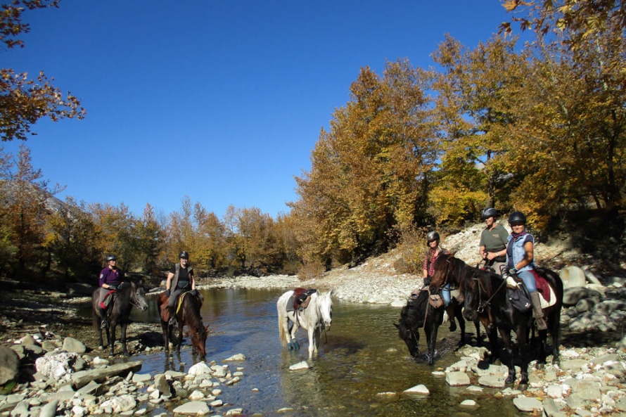 wonderful memories from Albania @BlogEquus