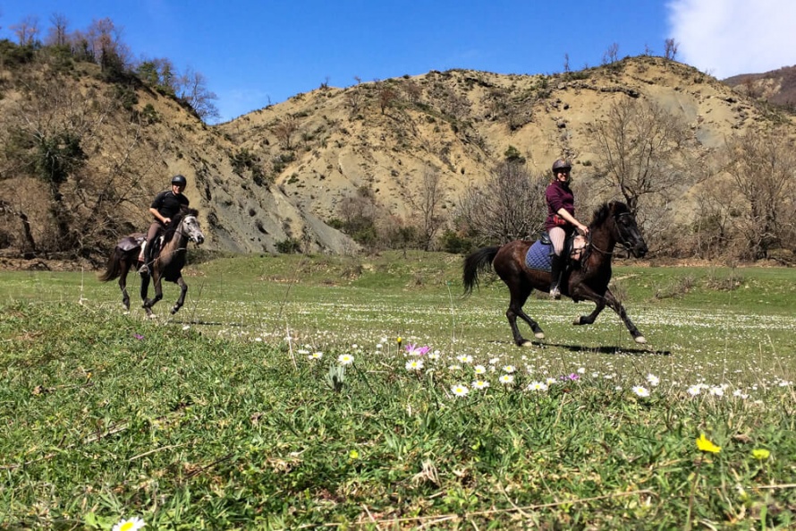 A pacey trail ride @BlogEquus